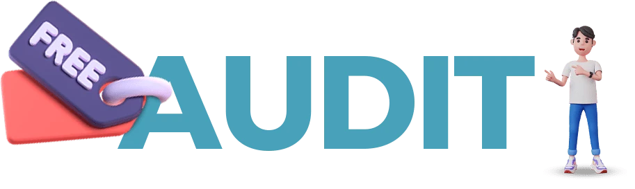 Free audit